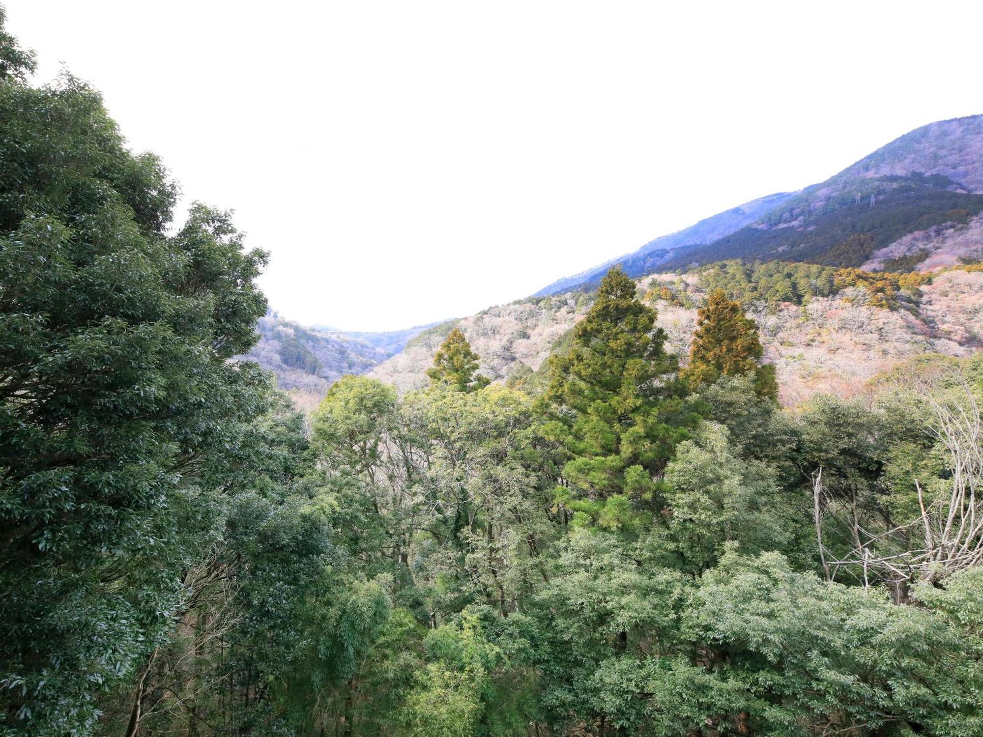 Hot Spring Inn Hakone Suisen Buitenkant foto