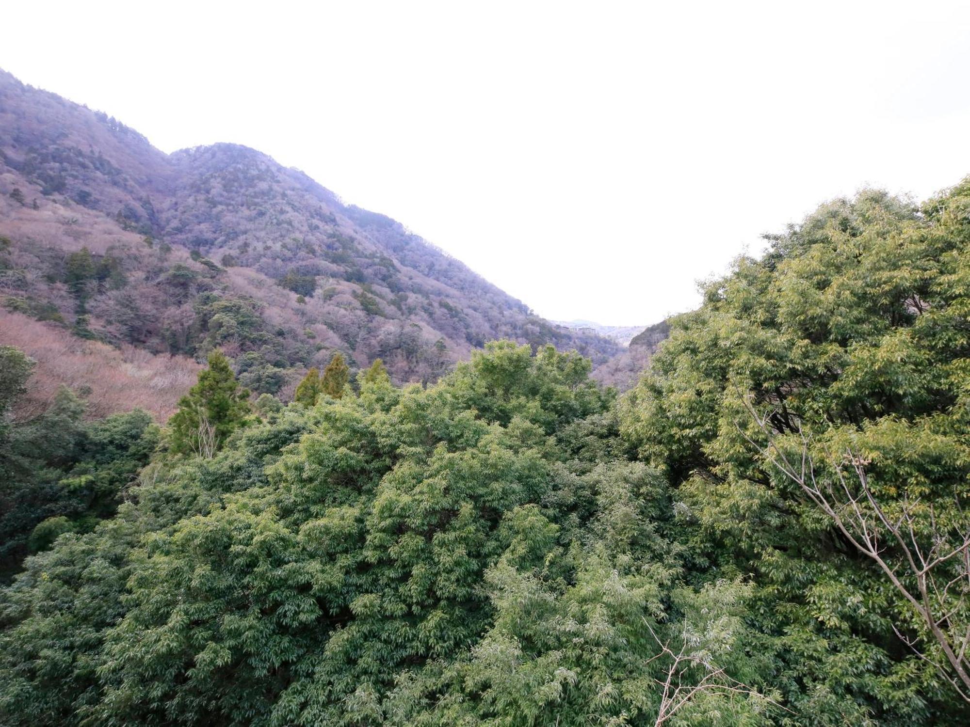Hot Spring Inn Hakone Suisen Buitenkant foto